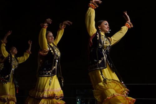 DSC02801-339