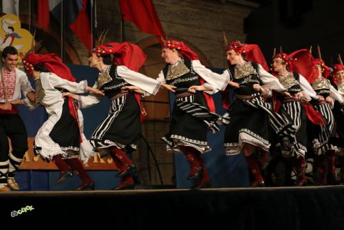 IMG 0206-591